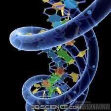 Straordinaria scoperta: gli scienziati trovano un secondo codice nascosto all’interno del DNA
